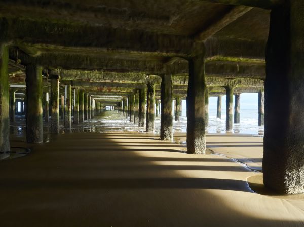 Cost of Pier And Beam Leveling in Pasadena